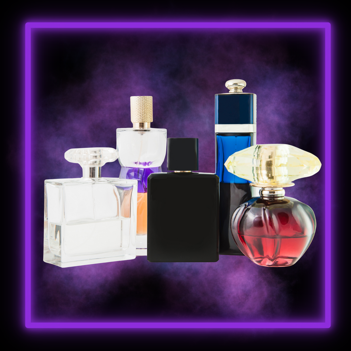 Pack Perfumes